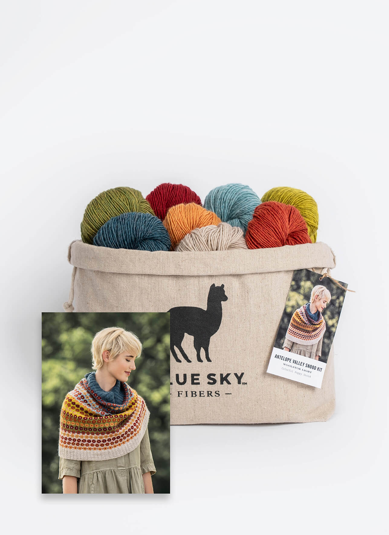 Blue Sky Fibers Antelope Valley Snood Kit