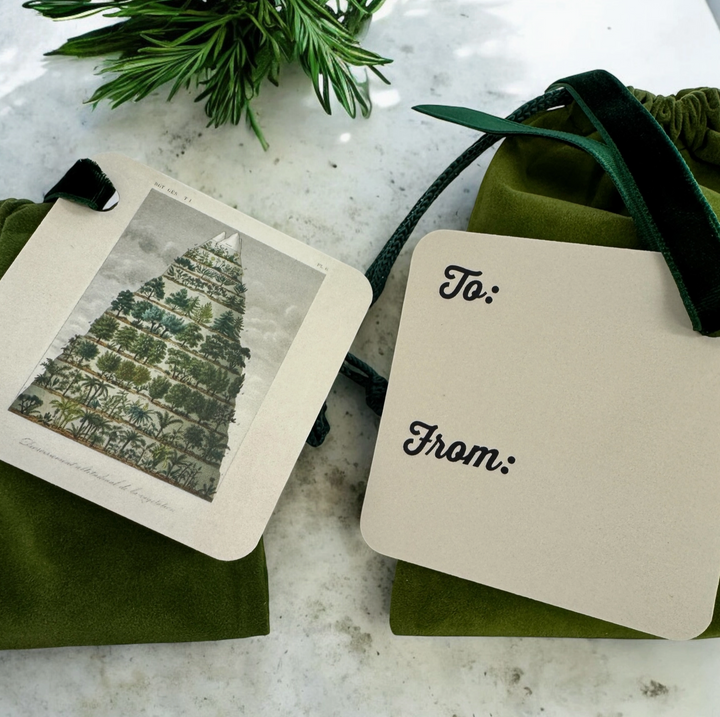 Gift Bag & Tag