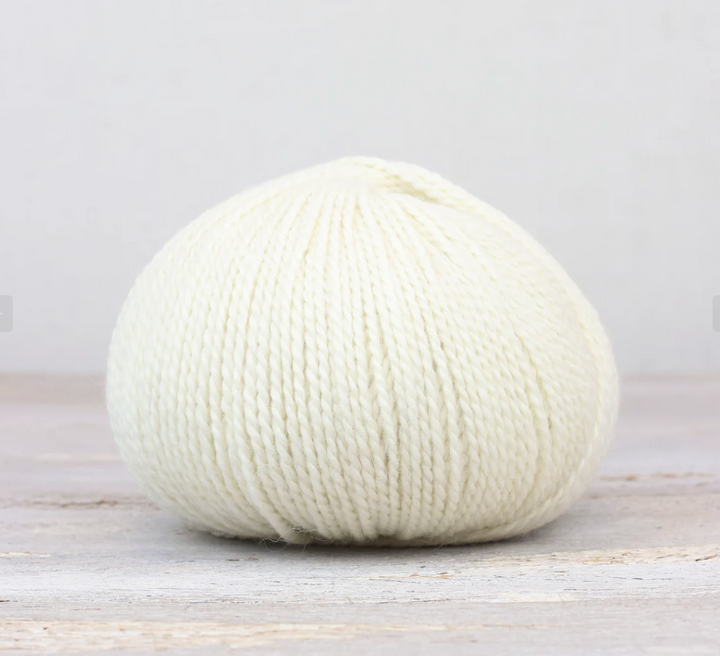 Beginning Knitting Kit