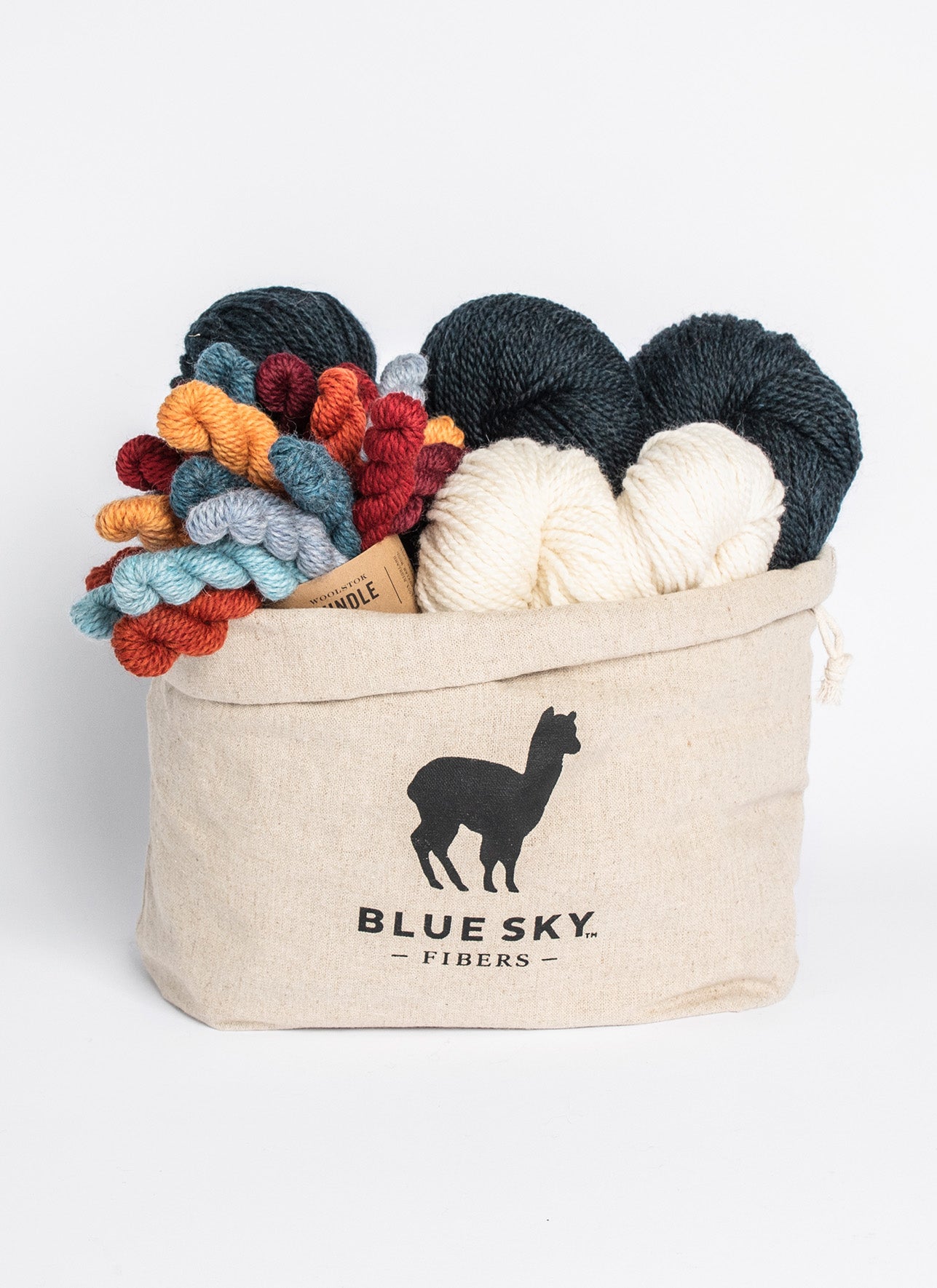 Blue Sky Fibers Woolstok Bundle Kit 3-2-1